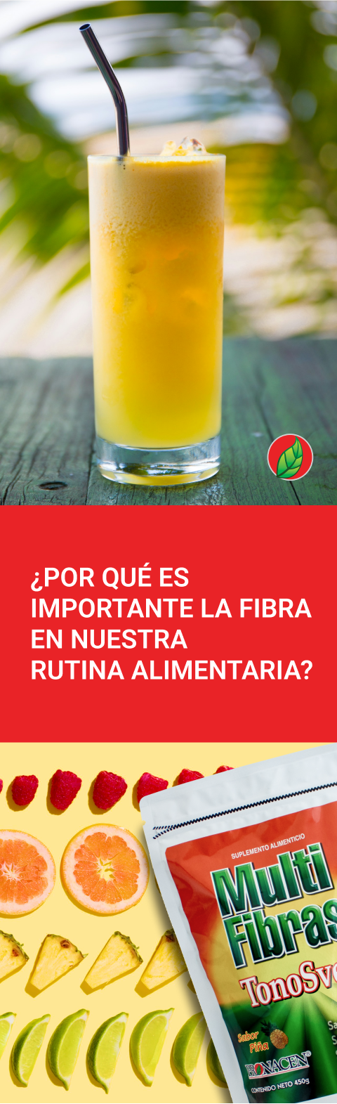 ¿Por qué es importante la fibra en nuestra rutina alimenticia? | Blog PRONACEN