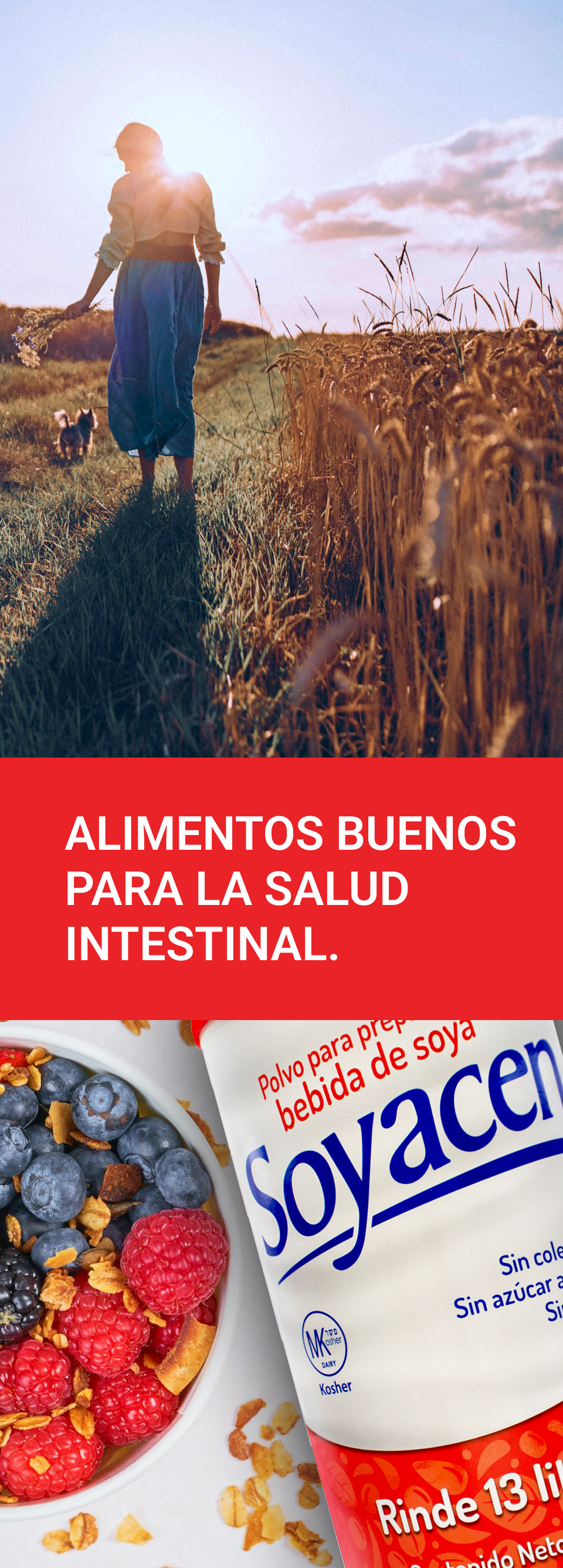 Alimentos buenos para la salud intestinal. | Blog PRONACEN