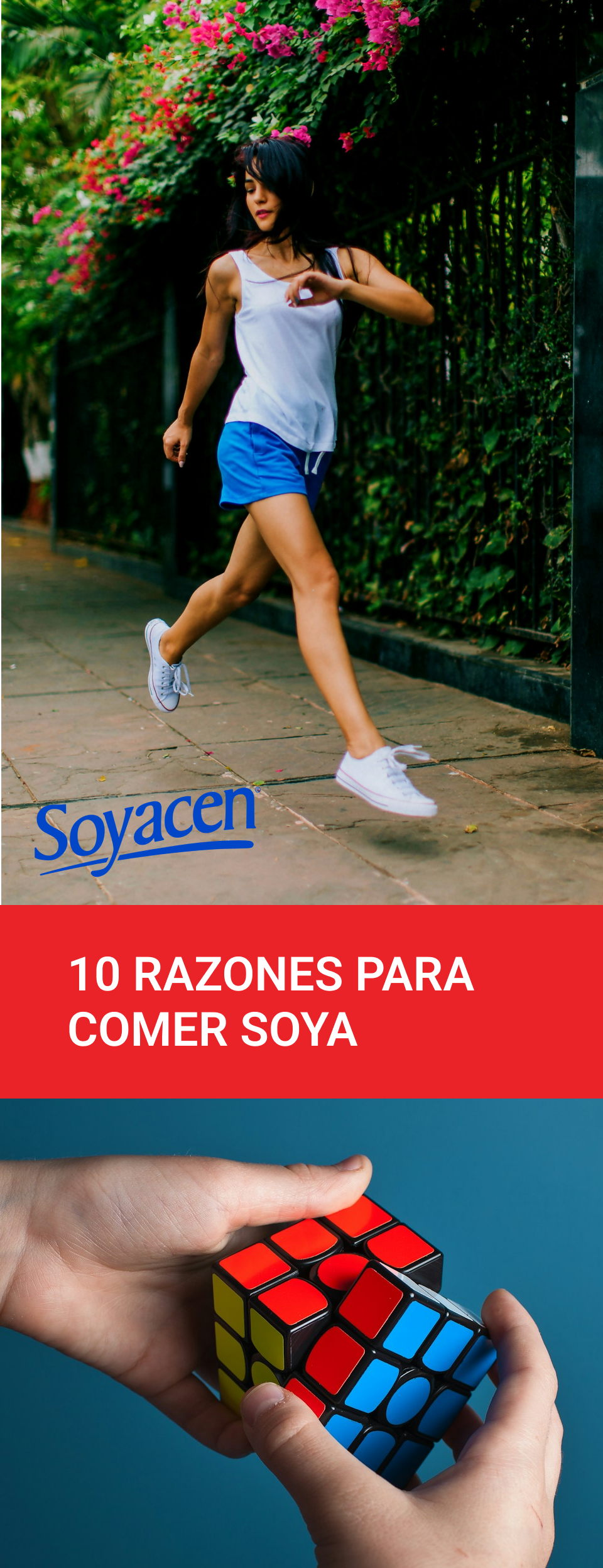 10 razones para comer soya.| Blog PRONACEN