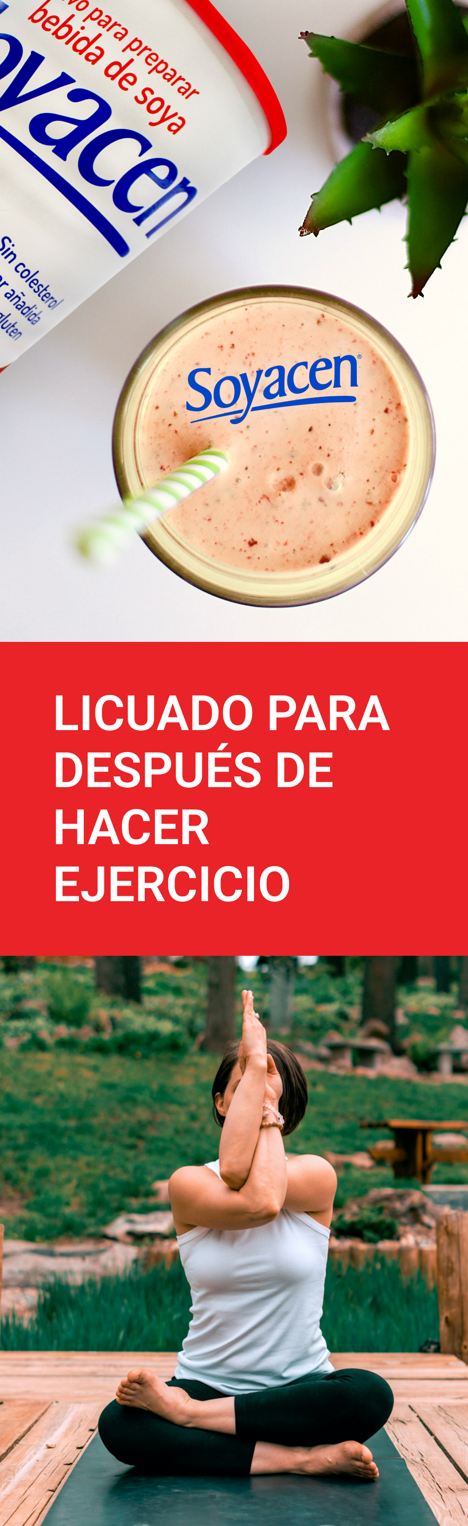 Licuado para después de hacer ejercicio | Blog PRONACEN