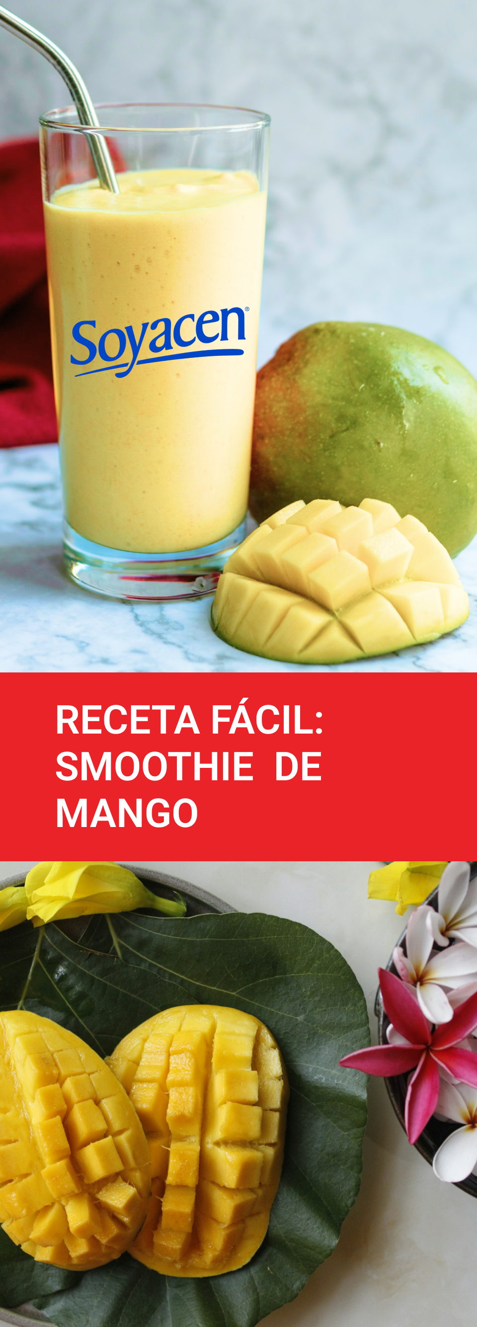 Receta fácil: Smoothie de Mango