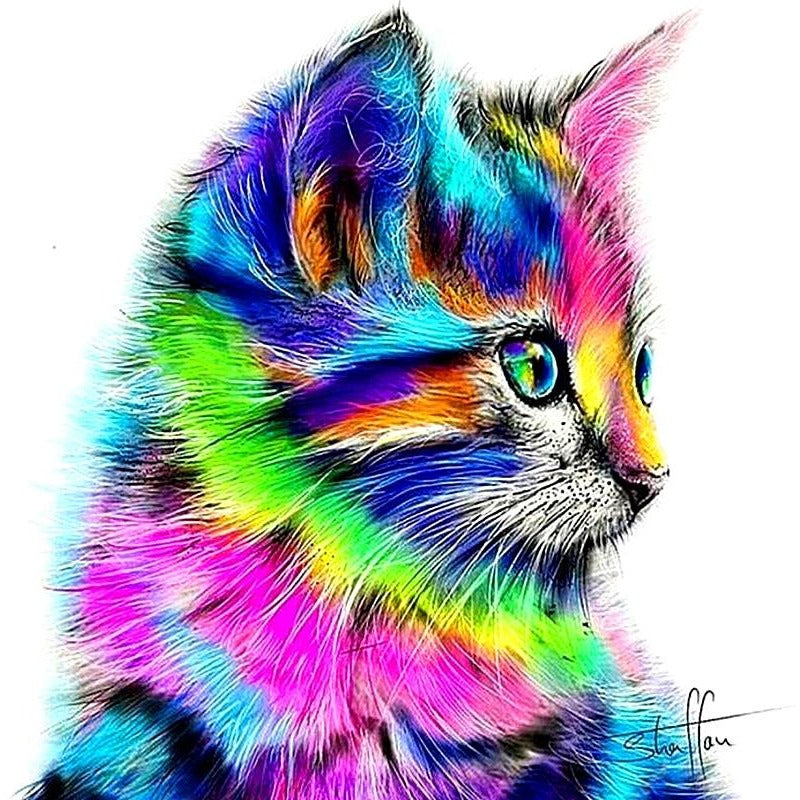 Abstract Multi Color Cat 5D DIY Paint By Diamond Kit 