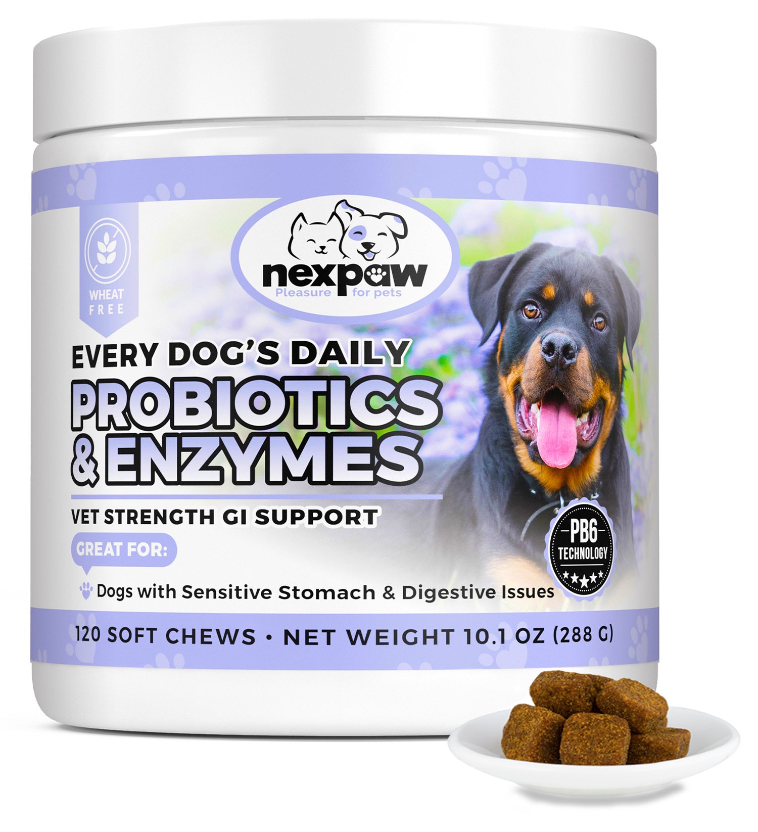 are probiotics bad for dogs