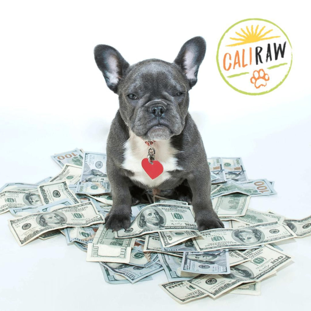 how much does it cost to raw feed a dog