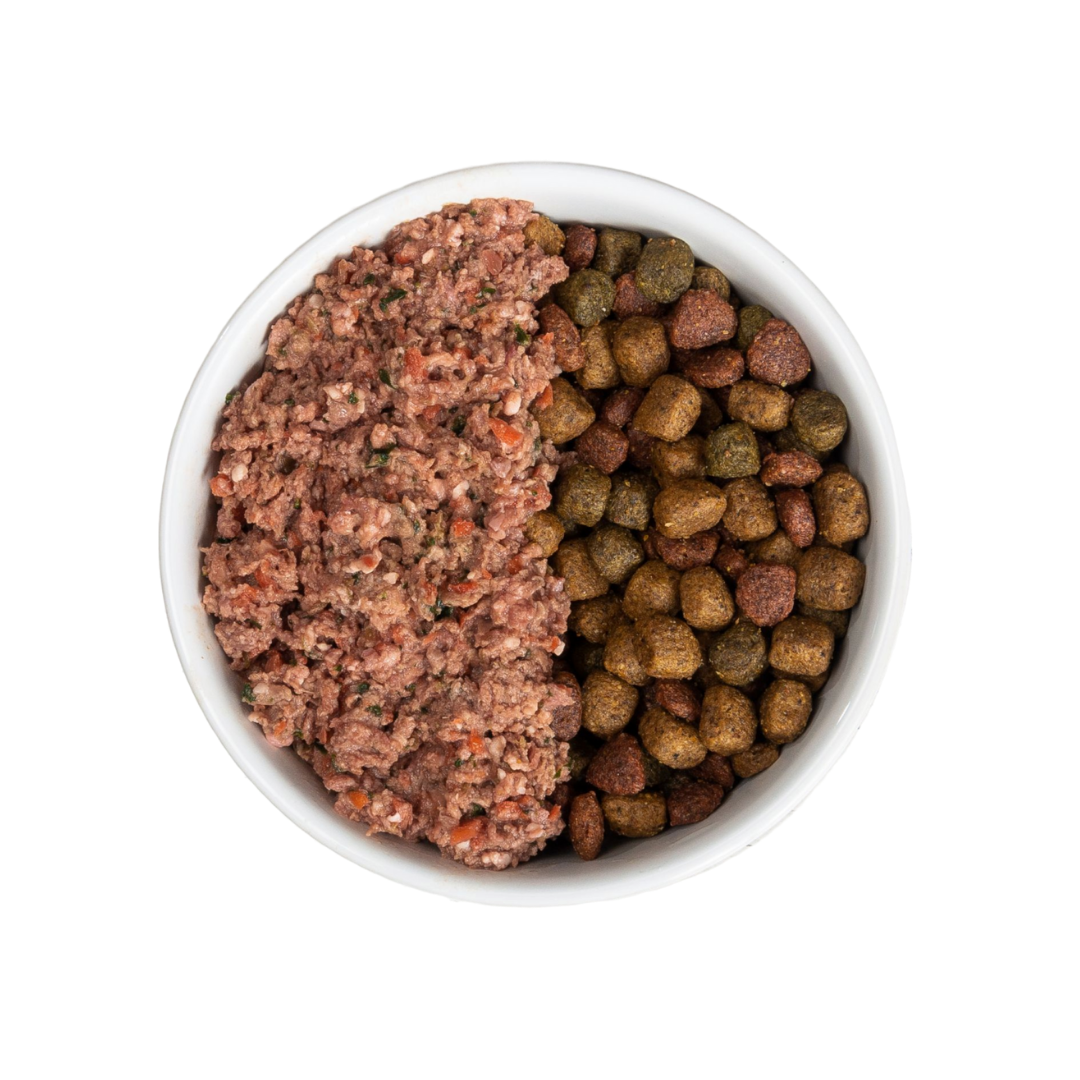 raw food mixed with kibble