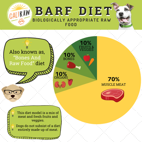 proper raw diet for dogs