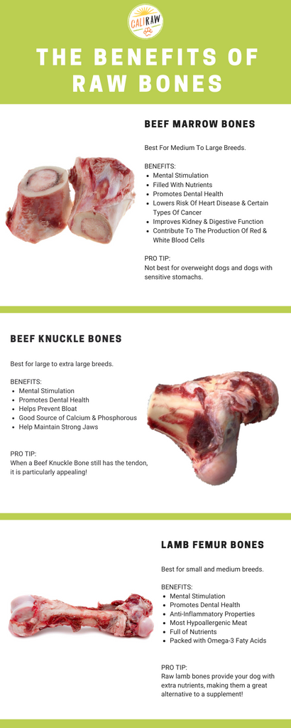 best raw bones for puppies