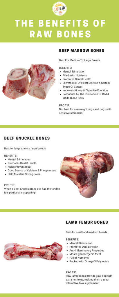 best meat bones for dogs