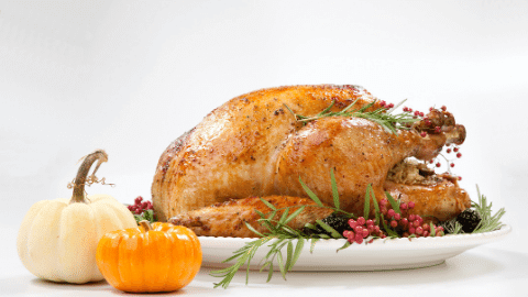 Can Dogs Eat Turkey & Is It Good For Them?