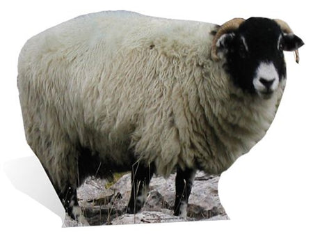 Click to view product details and reviews for Sheep Cardboard Cutout 84cm.