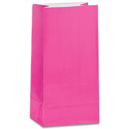 Click to view product details and reviews for Hot Pink Party Bags Pack Of 12.