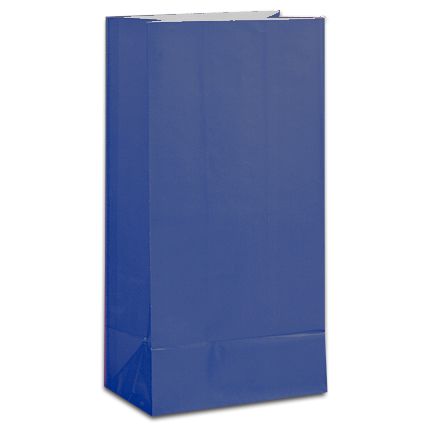 Royal Blue Party Bags Pack Of 12