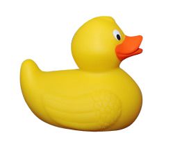 Click to view product details and reviews for Weighted Duck Each 80mm.