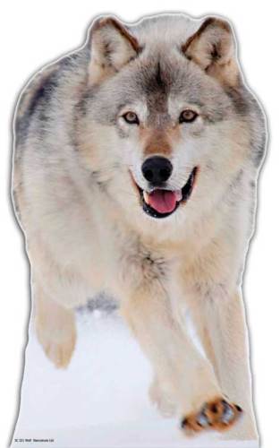 Click to view product details and reviews for Wolf Cardboard Cutout 90cm.