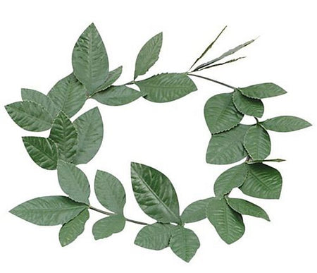 Click to view product details and reviews for Green Laurel Leaf Headband.