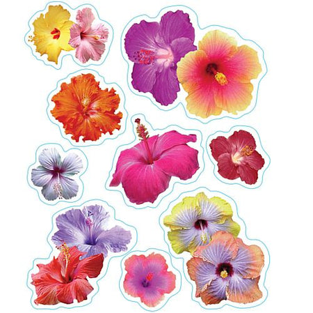 Click to view product details and reviews for Hibiscus Clings Assorted Designs 432cm.
