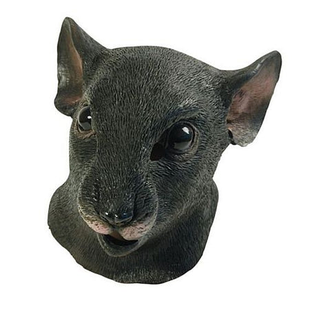 Click to view product details and reviews for Rat Mask.