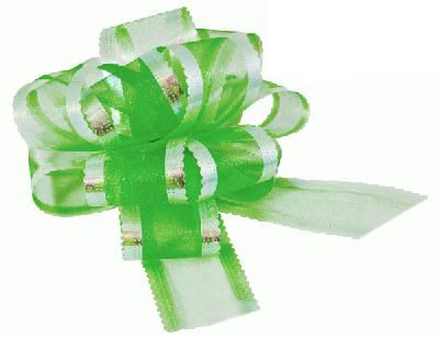 Click to view product details and reviews for Green Premium Quality Organza Pullbows 50mm.