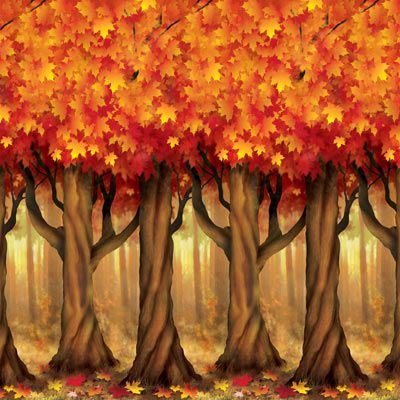 Click to view product details and reviews for Autumn Trees Backdrop 914m.