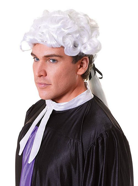 Click to view product details and reviews for Judge Court Wig.