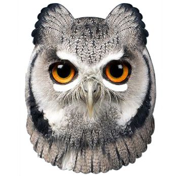 Click to view product details and reviews for Owl Card Mask.