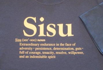 Sisu Definition T-shirt, Royal Blue – Irma's Finland House