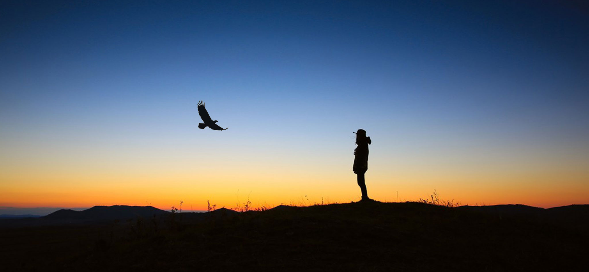 papang protect silhouette d'une femme regardant un papangue voler