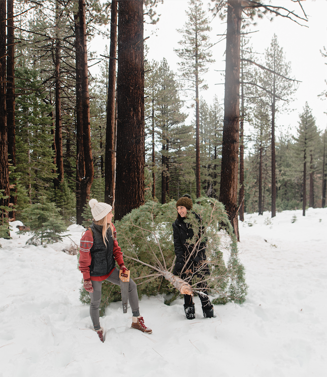 making healthier holiday choices