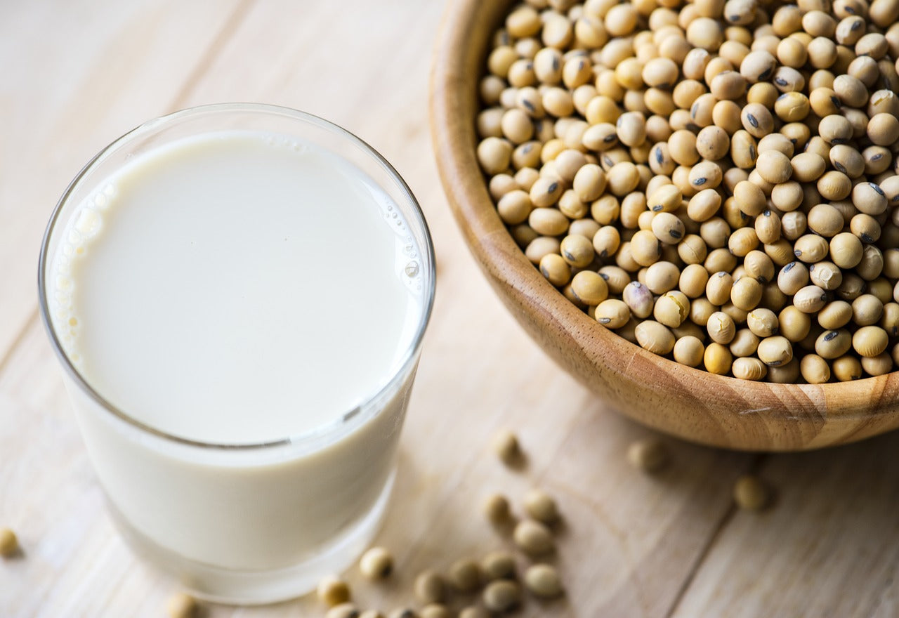 soy protein isolate health benefits