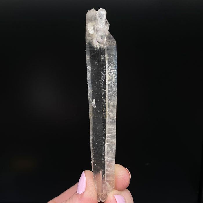 Large Smoky Quartz Crystal Cluster with Rutile - The Fossil Cartel