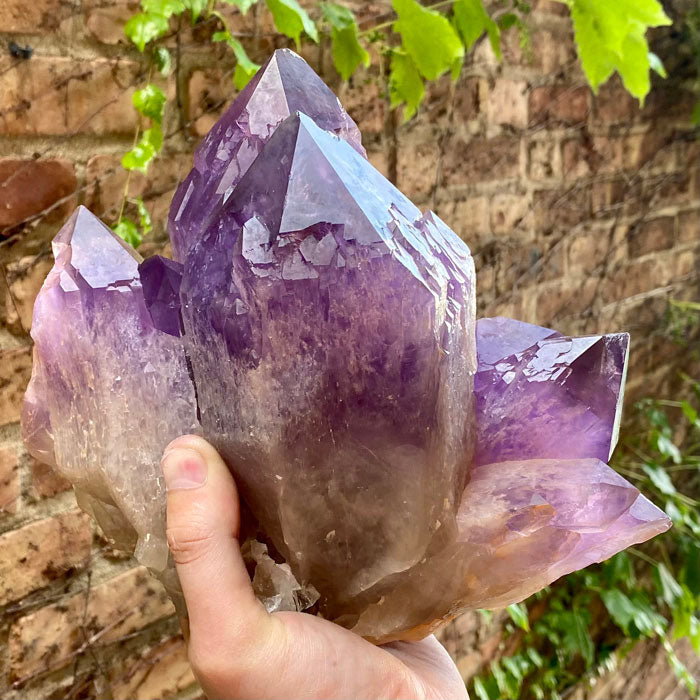Amethyst Clusters for Sale