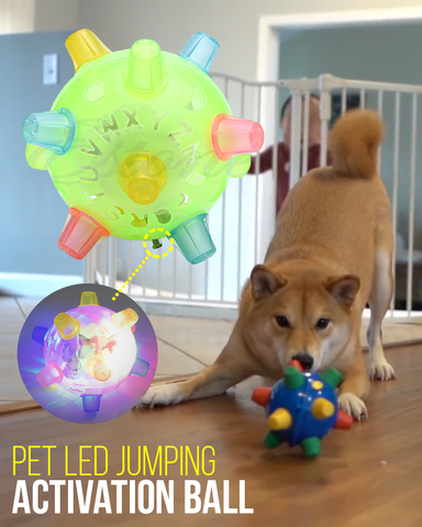 jumping activation dog ball