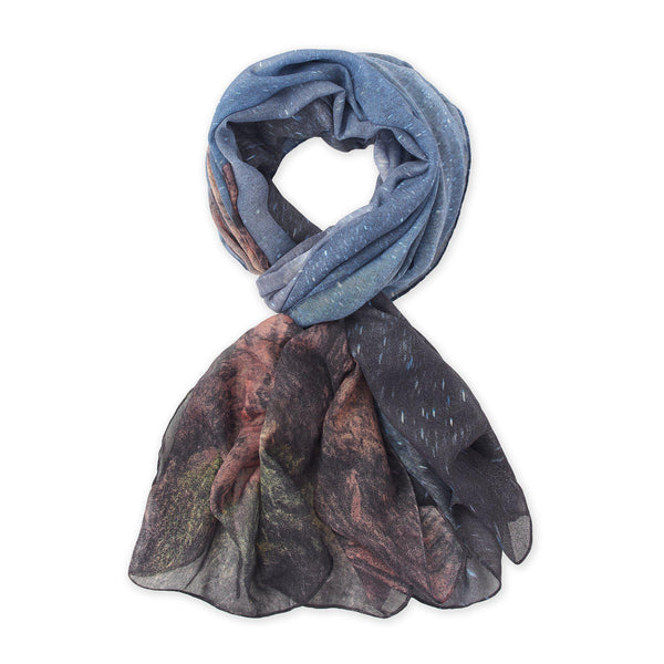 Zion National Park Night Sky Scarf | McGovern & Company