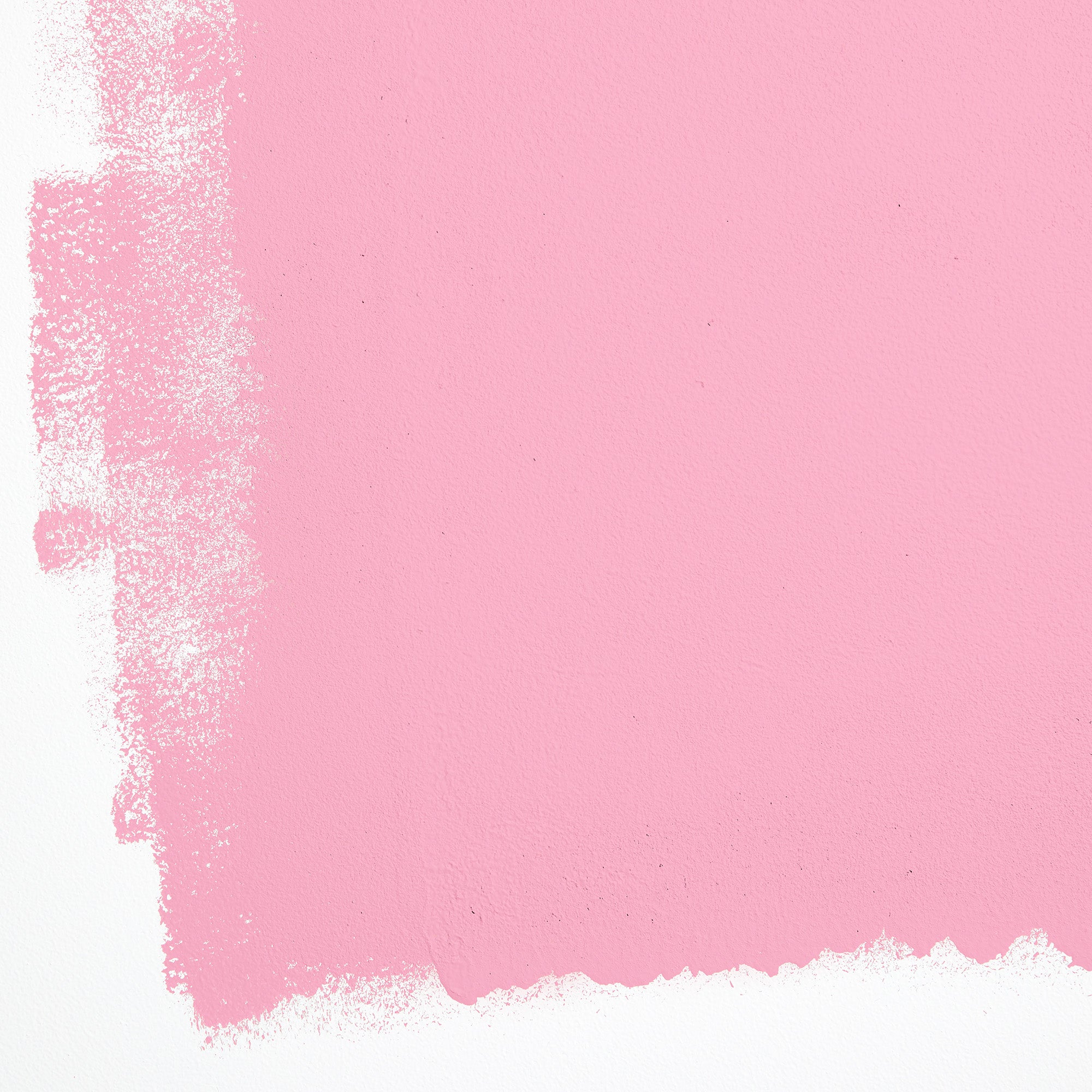 BARBIE™ DREAMHOUSE™ PINK Paint - Interior Standard