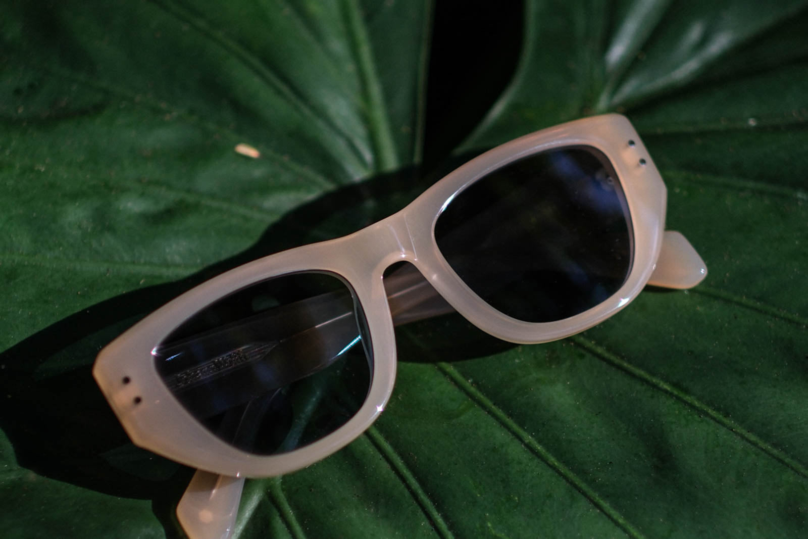 kampong coconut grove johann wolff eyewear