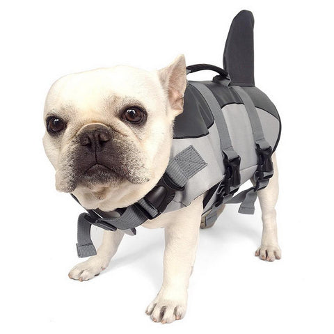 frenchie shark vest