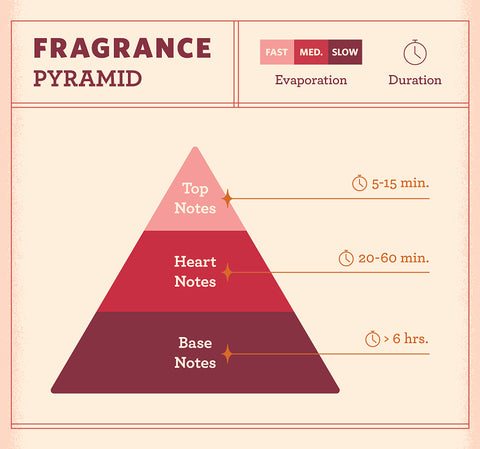 fragrance pyramid