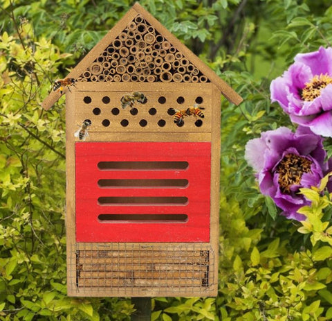 bee house