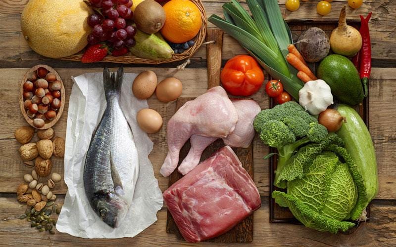 The Paleo Diet Explained