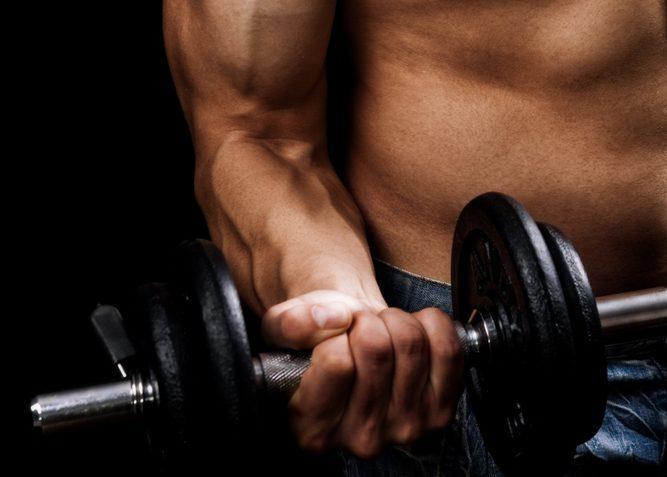 Basic Rules of Muscle Building