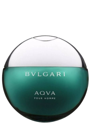 Bvlgari Blv Notte Perfume Oil IMPRESSION - 10ml Roller Bottle – PERFUME  STUDIO