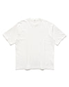 Standard T-Shirt White