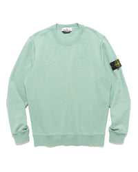 Crewneck Sweatshirt #02 Light Green