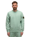 Crewneck Sweatshirt #02 Light Green - HAVEN