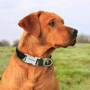 personalized nylon dog collar