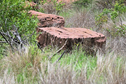 Syenite rocks cut into large blocks