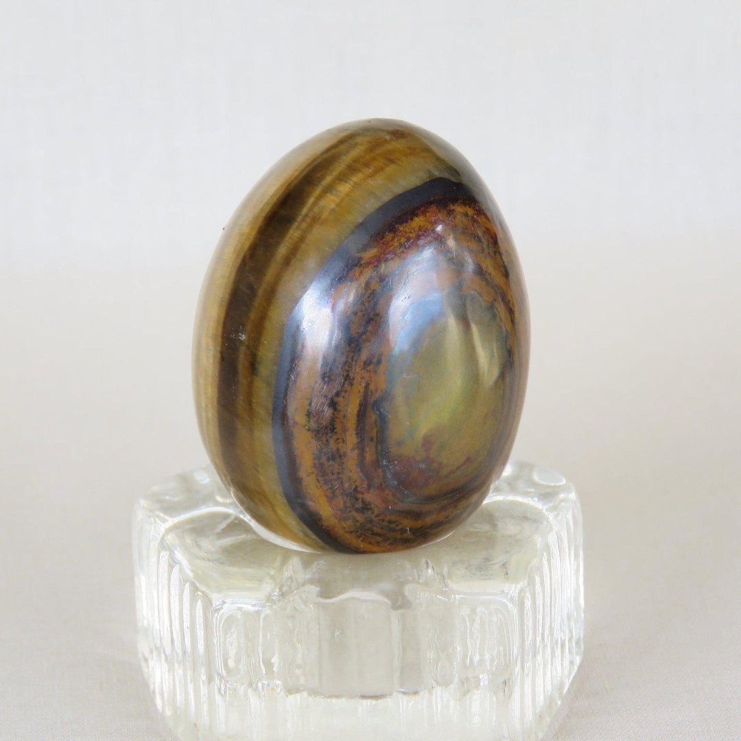 tigers eye egg