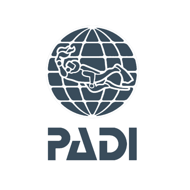 PADI LOGO.png__PID:e8bf6ac7-2bbc-4984-ba58-6433c58ef639