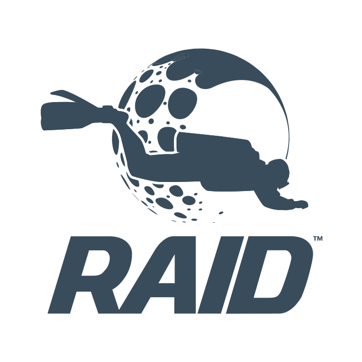 RAID LOGO.png__PID:6ac72bbc-9984-4a58-a433-c58ef6392cd3