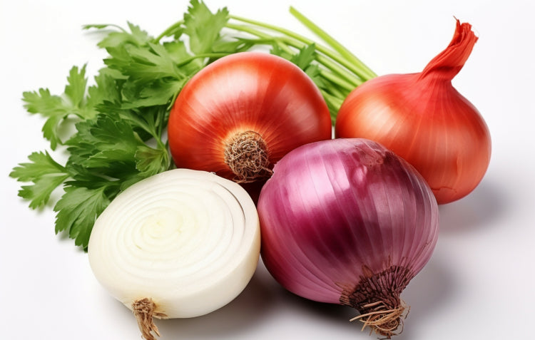 onion varieties